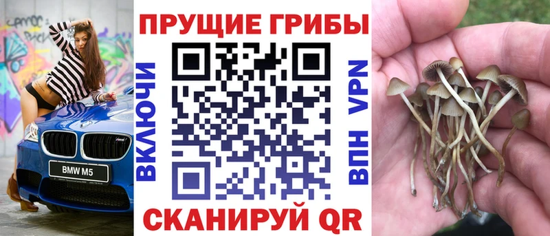 Псилоцибиновые грибы Psilocybe KRAKEN ссылка Поронайск